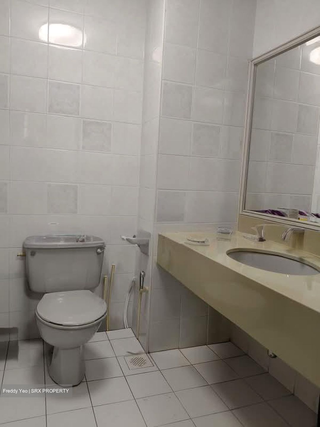 Pasir View Park (D5), Condominium #601575531
